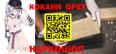 крисы Будённовск