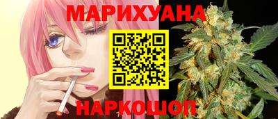 крисы Будённовск