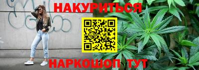 крисы Будённовск