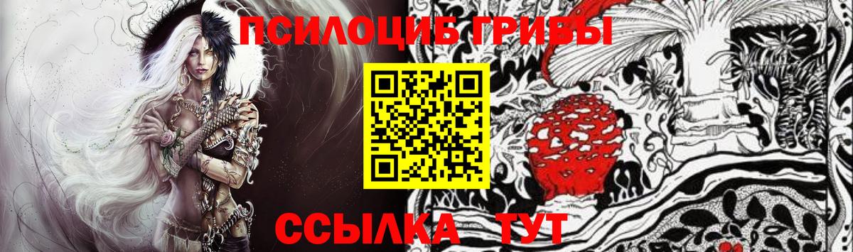 Псилоцибиновые грибы Psilocybine cubensis  Вход с VPN  купить закладку  Карасук 
